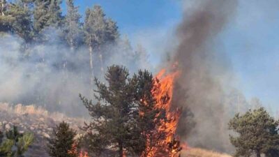 Erzurum'un Şenkaya ilçesindeki Değirmenler Mahallesi Kılıçboğazı mevkiinde çıkan üç orman