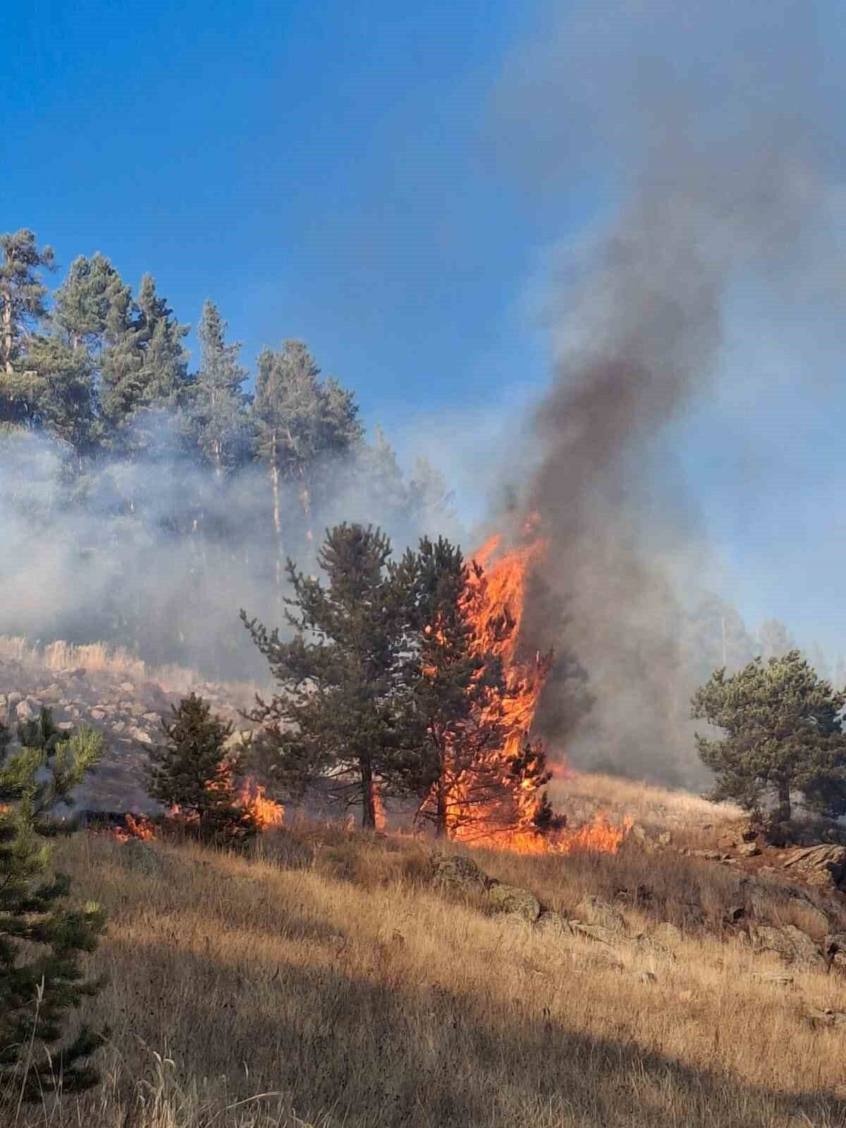 Erzurum'un Şenkaya ilçesindeki Değirmenler Mahallesi Kılıçboğazı mevkiinde çıkan üç orman