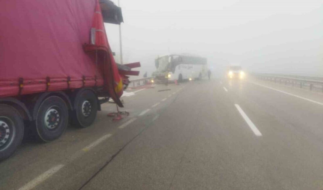 Erzurum’da Yoğun Sis Kazalara Neden Oldu, 13 Kişi Yaralandı Erzurum'daki yoğun sis, trafik kazalarına yol açmaya devam ediyor. Pasinler