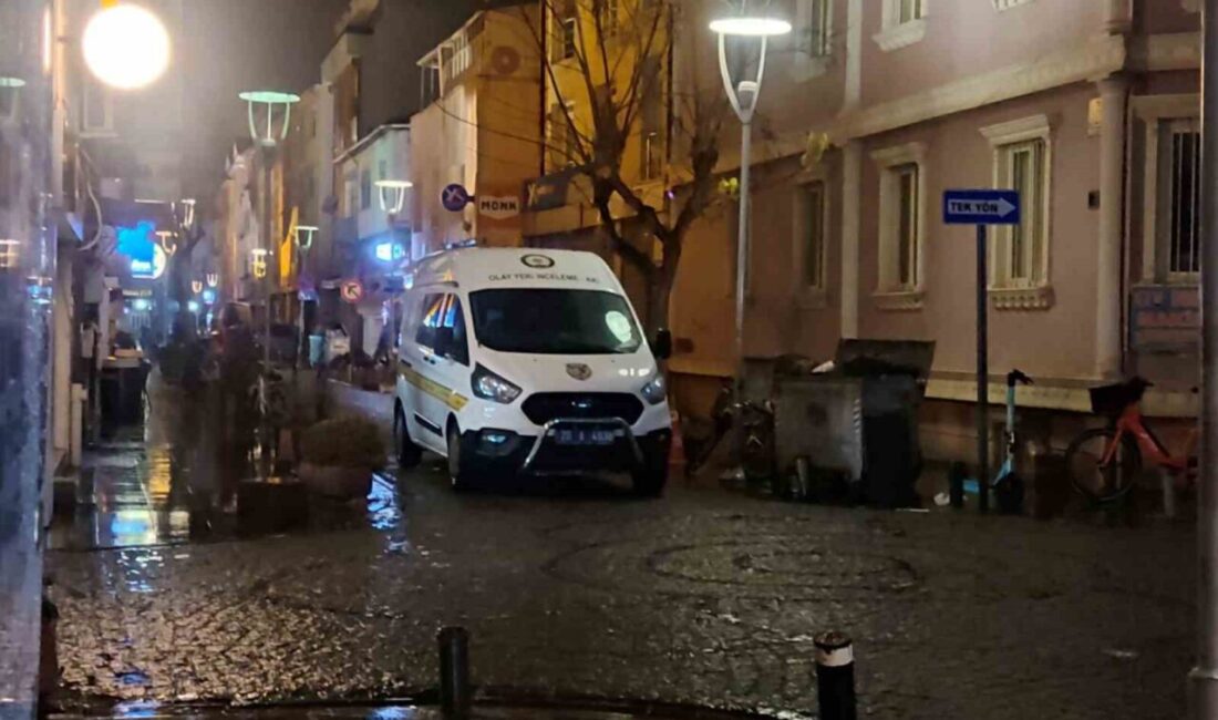 Eskişehir'de 37 yaşındaki Beyza Yavuz, arkadaşının evinde hareketsiz halde bulundu.