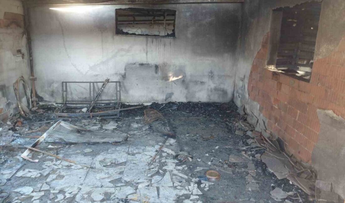 Menemen’de Yangında Hayvansever Şule Çörekçi Hayatını Kaybetti, 20’den Fazla Kedi Telef Oldu İzmir Menemen'de çıkan yangında, hayvansever Şule Çörekçi (56) hayatını kaybetti.