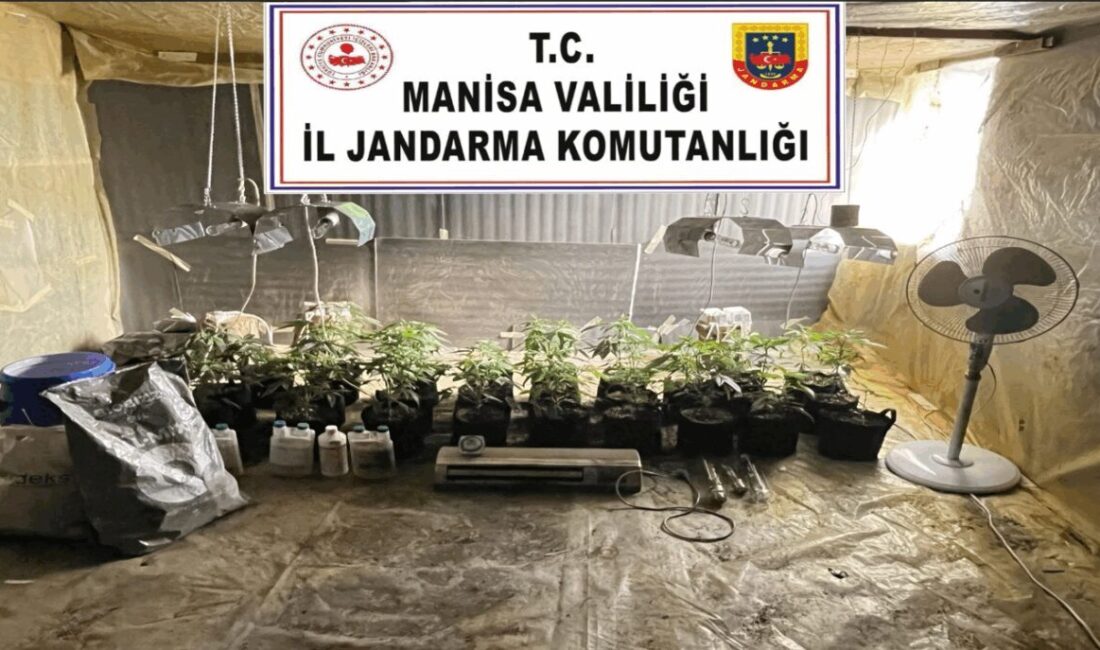 Manisa'nın Akhisar ilçesinde, H.T. isimli şahsın evinde kenevir yetiştirdiği tespit