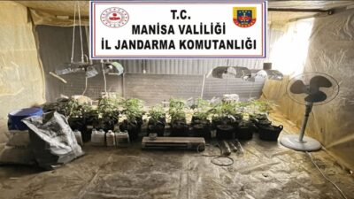 Manisa'nın Akhisar ilçesinde, H.T. isimli şahsın evinde kenevir yetiştirdiği tespit