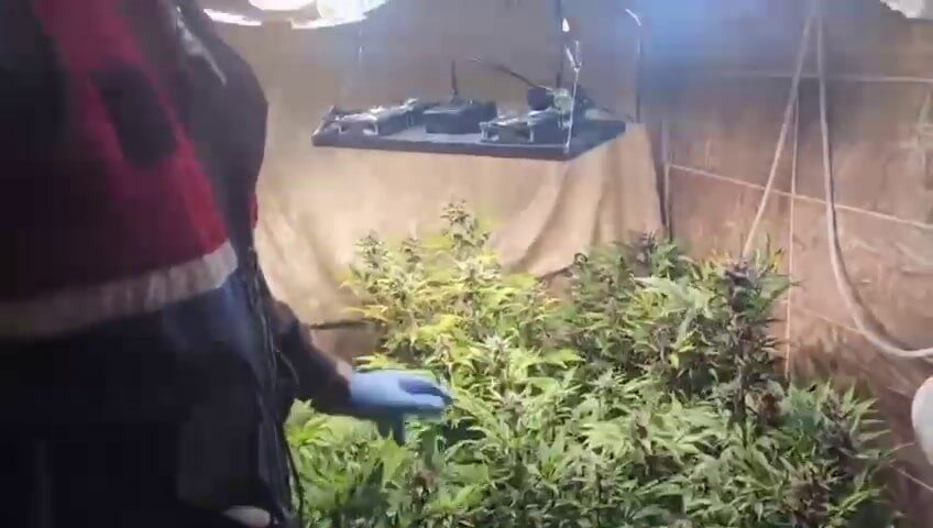 Sakarya'nın Geyve ilçesinde jandarma, uyuşturucu üretimi yapılan bir eve baskın