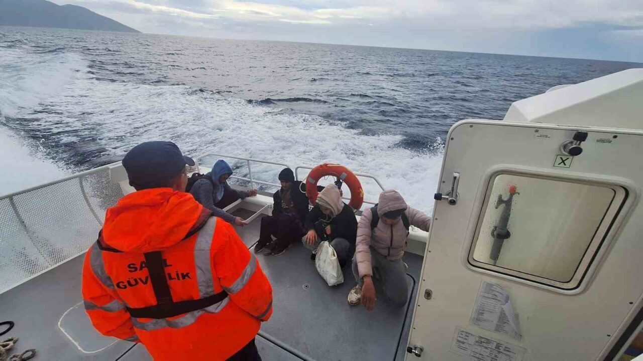 Muğla'nın Fethiye ilçesindeki Leylek Koyu'nda yardım talep eden dört düzensiz
