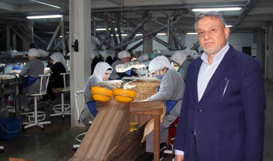 Fındık Fiyatlarının Yıl Sonuna Kadar Stabil Kalması Bekleniyor, Hava Koşulları Geleceği Şekillendirebilir Fındık fiyatlarının yıl sonuna kadar 280-290 lira arasında kalması bekleniyor.