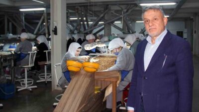 Fındık fiyatlarının yıl sonuna kadar 280-290 lira arasında kalması bekleniyor.