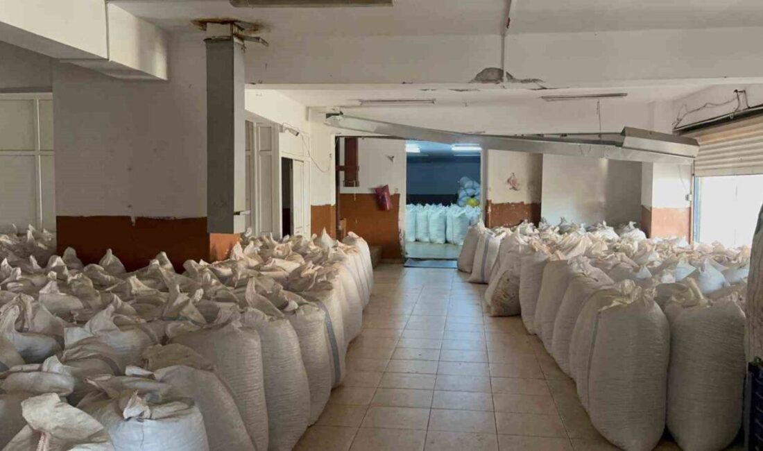 Alaplı’da Fındık Fiyatları Hakkındaki Görüşler Farklılık Gösteriyor Zonguldak'ın Alaplı ilçesinde fındık fiyatları üzerinde farklı görüşler var. Fındık