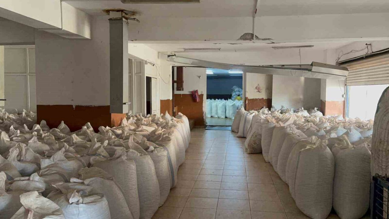 Zonguldak'ın Alaplı ilçesinde fındık fiyatları üzerinde farklı görüşler var. Fındık