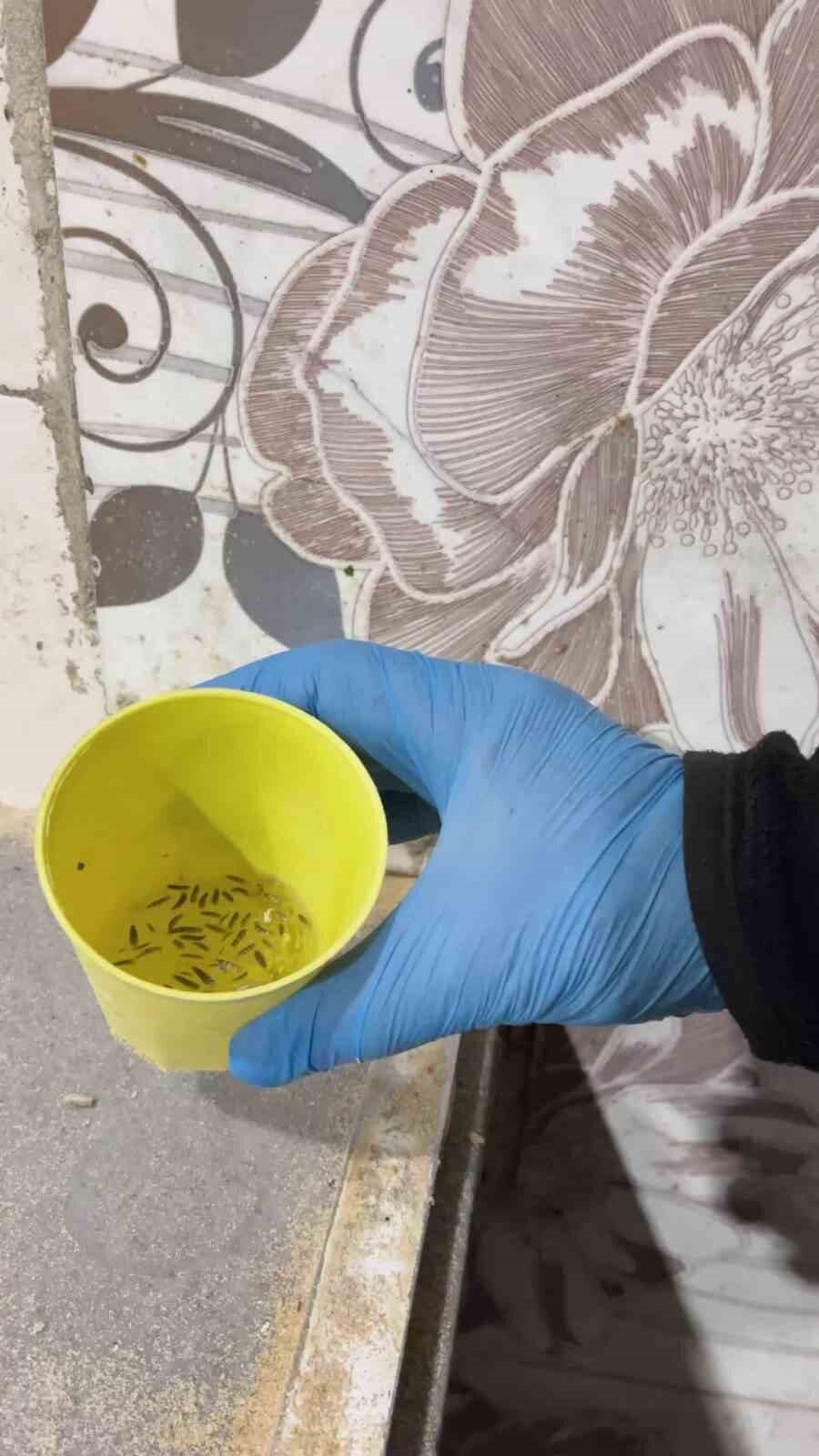 Kırıkhan'da zabıta ekipleri fırınları denetleyerek iki işletmeyi mühürledi. Denetimde, fırınlarda