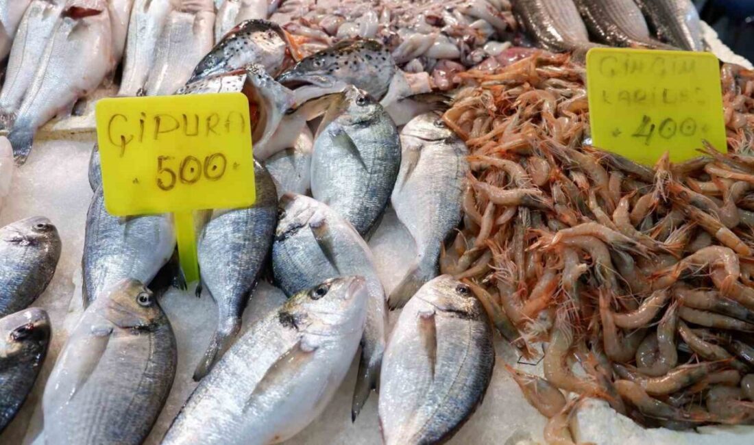 İzmir'in Foça Balık Hali, kış sezonu ile hareketlendi. İbrahim Göl,