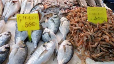 İzmir'in Foça Balık Hali, kış sezonu ile hareketlendi. İbrahim Göl,