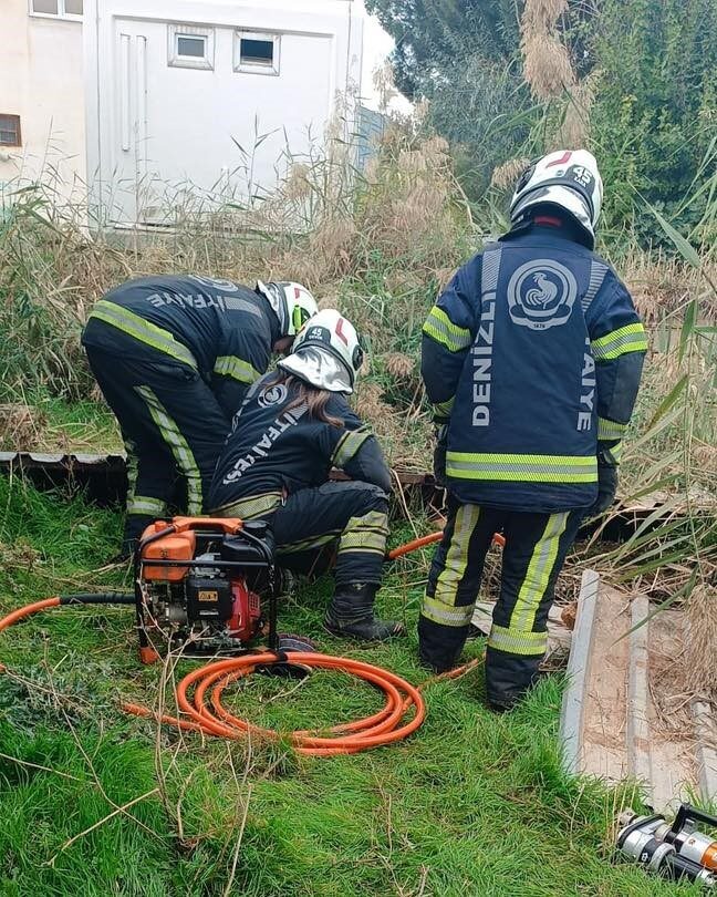 Denizli'nin Merkezefendi ilçesinde bir köpek, fosseptik çukuruna düştü. Çevredekilerin başarısız