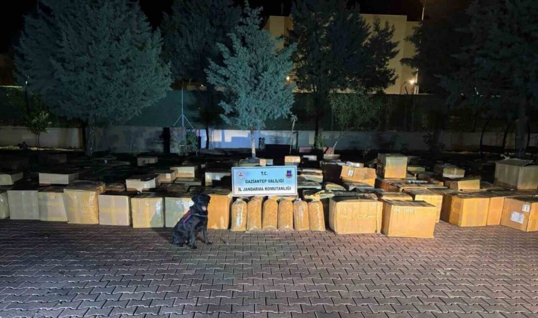 Gaziantep'in Araban ilçesinde gerçekleştirilen operasyonda, M.G. adlı bir şahsın aracında