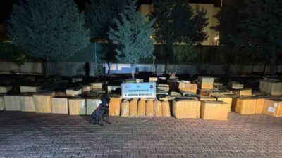 Gaziantep’in Araban ilçesinde gerçekleştirilen operasyonda, M.G. isimli bir şahsın aracında