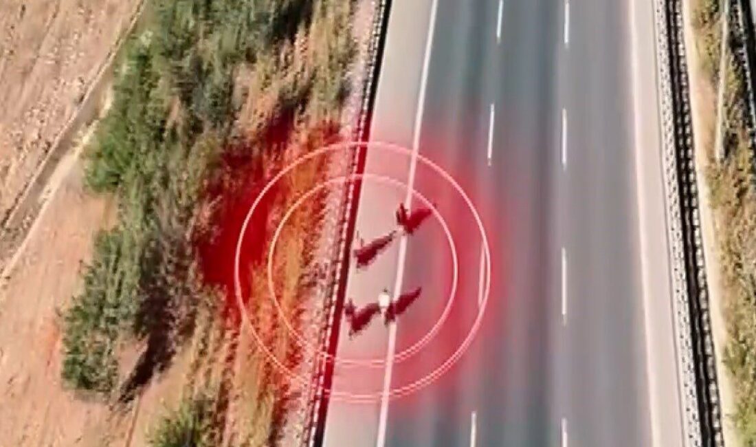 Gaziantep’te Motosikletli Yarışlara Karşı Yoğun Denetim: 38 Sürücüye Ceza Uygulandı Gaziantep’te yapılan dron destekli trafik denetimlerinde, kural ihlali yapan 38