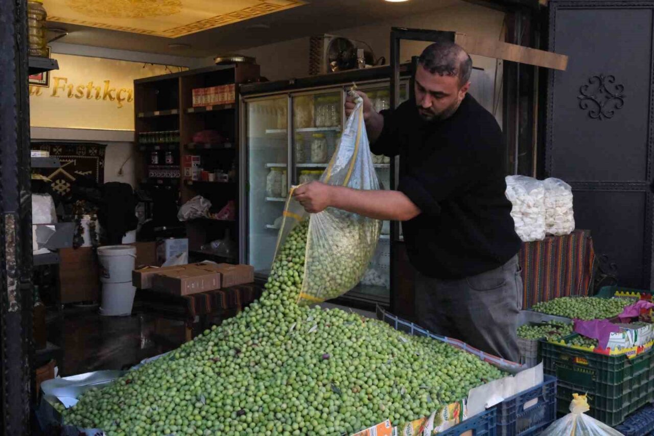 Gaziantep'te, 30 yıldır zeytin üretimi yapan Halil Akın, bu yıl