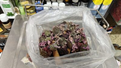 Kayseri'deki aktar Rahmetullah Sadıkoğlu, bu yıl hastalıkların ağır seyrettiğini belirterek,