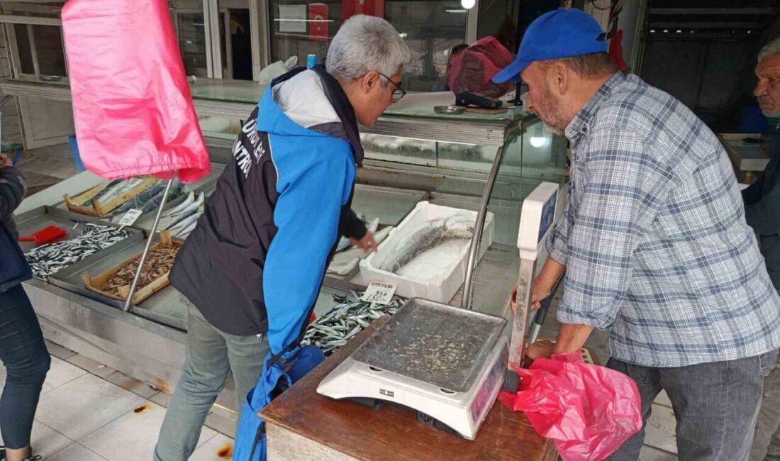 Gelibolu İlçe Tarım ve Orman Müdürlüğü, balık satış noktalarında denetimler