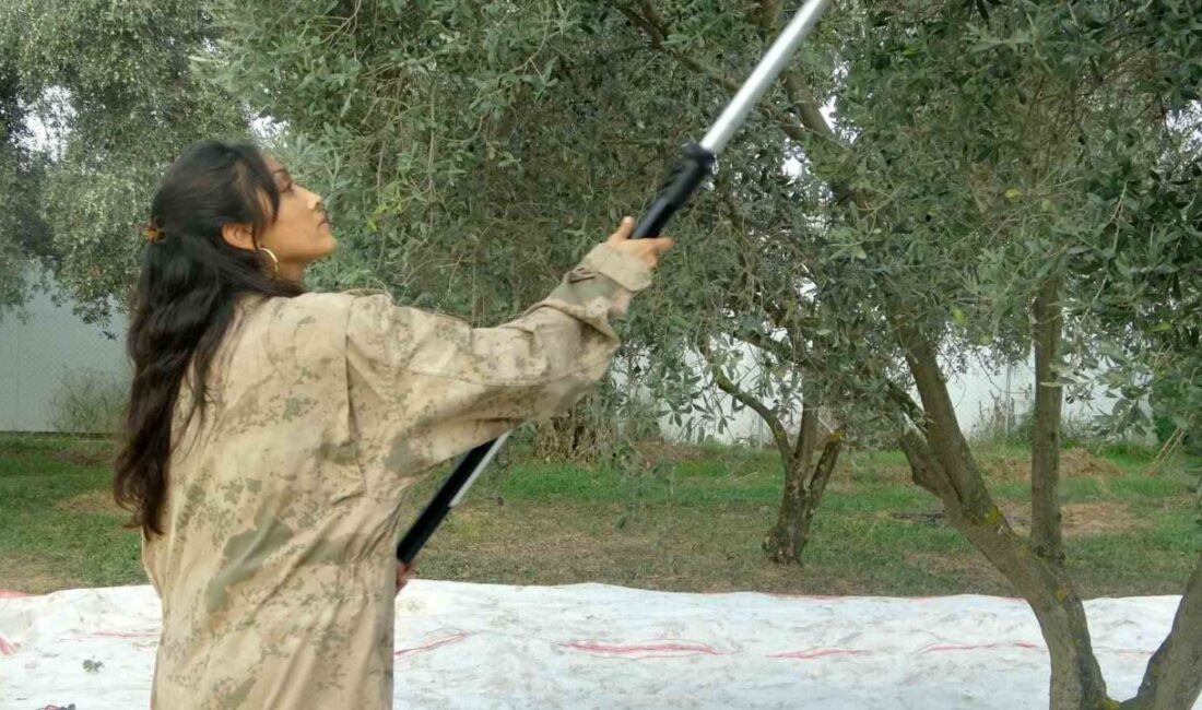 Muğla'nın Yatağan ilçesinde müzik öğretmeni Gül Dural, pandemide baba ocağına