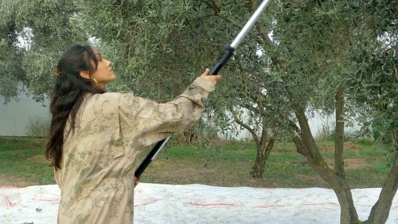 Muğla’da Pandemi Döneminde Tarıma Yönelen Müzik Öğretmeni Gül Dural, Genç Çiftçi Olmanın Verdiği Huzuru Yaşıyor