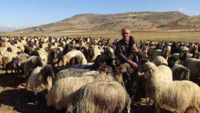 Batman’ın Gercüş ilçesinde, Van, Bitlis ve Erzurum’dan Nusaybin yaylalarına giden