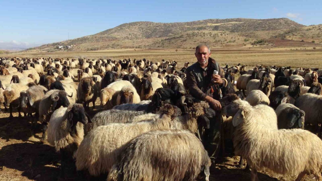 Batman’ın Gercüş ilçesinde, Van, Bitlis ve Erzurum’dan Nusaybin yaylalarına giden