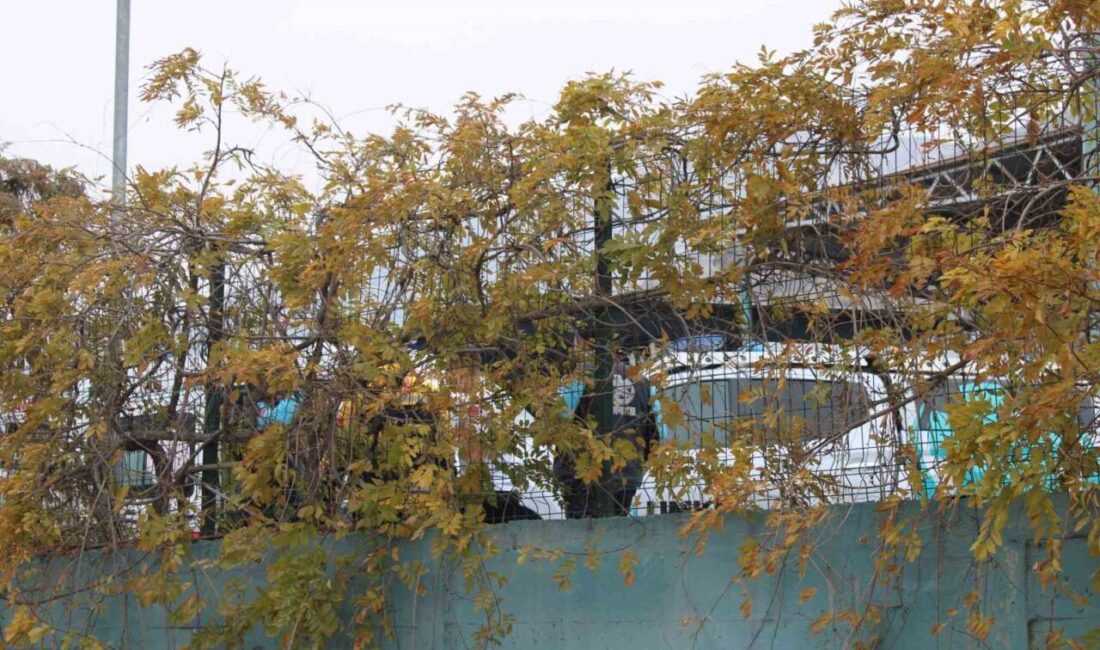 Kayseri'deki Melikgazi Belediyesi Geri Dönüşüm Eğitim Tesisi'nde çalışanlar rahatsız edici