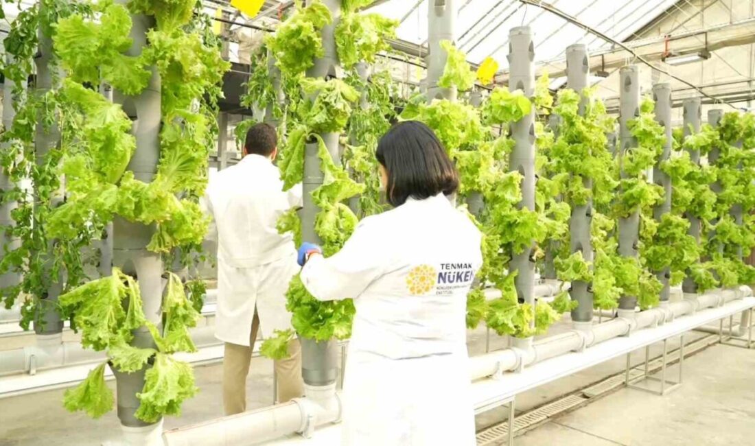 Türkiye Enerji, Nükleer ve Maden Araştırma Kurumu (TENMAK), tarımda iklim