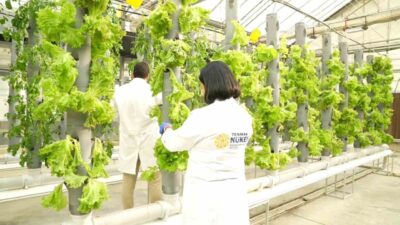 Türkiye Enerji, Nükleer ve Maden Araştırma Kurumu (TENMAK), tarımda iklim