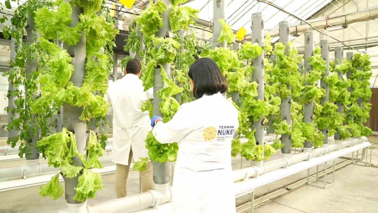 Türkiye Enerji, Nükleer ve Maden Araştırma Kurumu (TENMAK), tarımda iklim