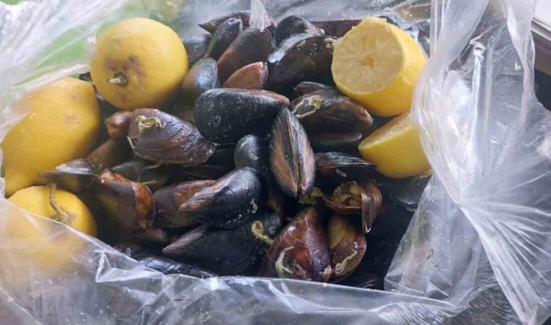 Aydın’ın Söke ilçesinde bir gıda işyerine yönelik yapılan denetimlerde, Alo