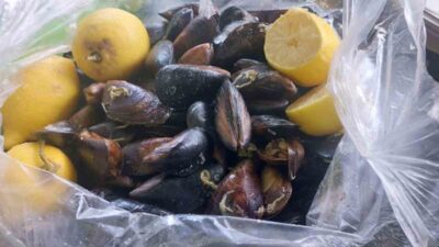 Aydın’ın Söke ilçesinde bir gıda işyerine yönelik yapılan denetimlerde, Alo