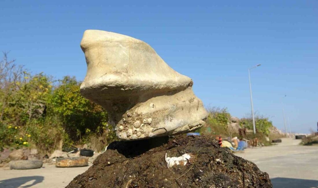 Giresun'un Bulancak ilçesinde denize açılan balıkçılar, ağlarına takılan at ayağına