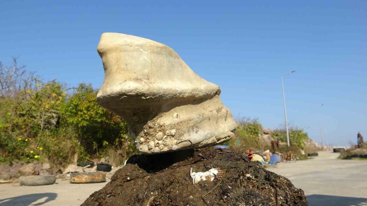 Giresun'un Bulancak ilçesinde denize açılan balıkçılar, ağlarına takılan at ayağına