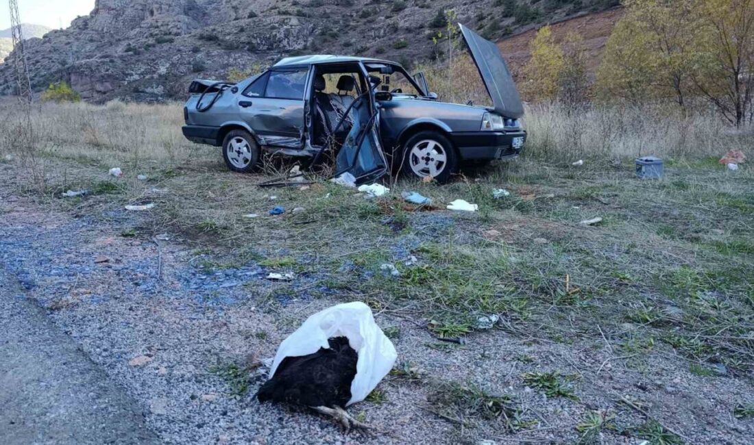 Gümüşhane Hacıemin Mahallesi'nde meydana gelen trafik kazasında, Orhan K. yönetimindeki
