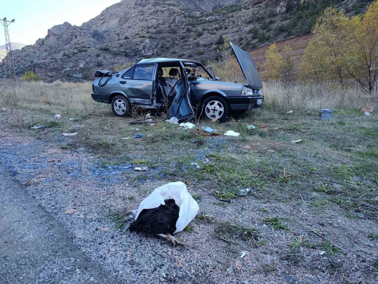 Gümüşhane Hacıemin Mahallesi'nde meydana gelen trafik kazasında, Orhan K. yönetimindeki