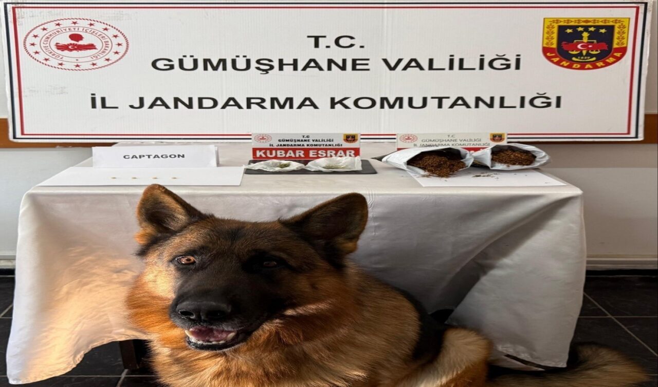 Gümüşhane'de jandarma, Yeşilyurt köyünde uyuşturucu kullandığı tespit edilen E.N., M.K.,