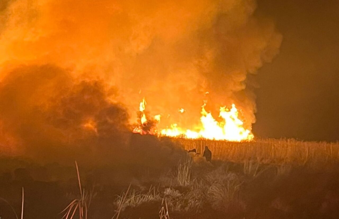Yüksekova’daki Nehil Sazlığı’nda Yangın: İtfaiye Ekipleri Mücadele Ediyor