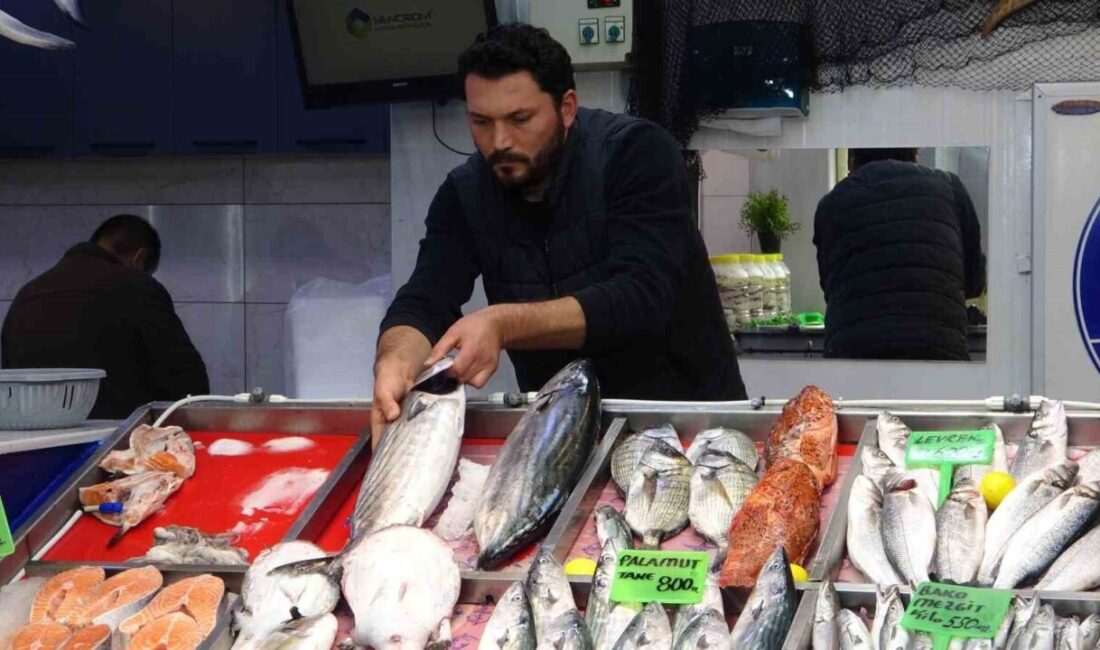 Çanakkale'de balık av sezonunda hamsi ve sardalya, 200-250 lira ile