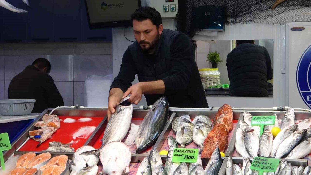 Çanakkale'de balık av sezonunda hamsi ve sardalya, 200-250 lira ile