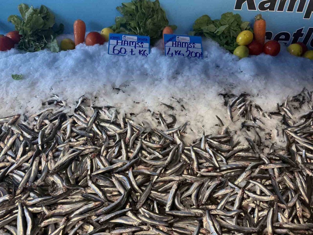 Beylikdüzü'nde hamsi fiyatları, mevsimsel değişimle birlikte düştü. Balıkçı Kenan Balcı,