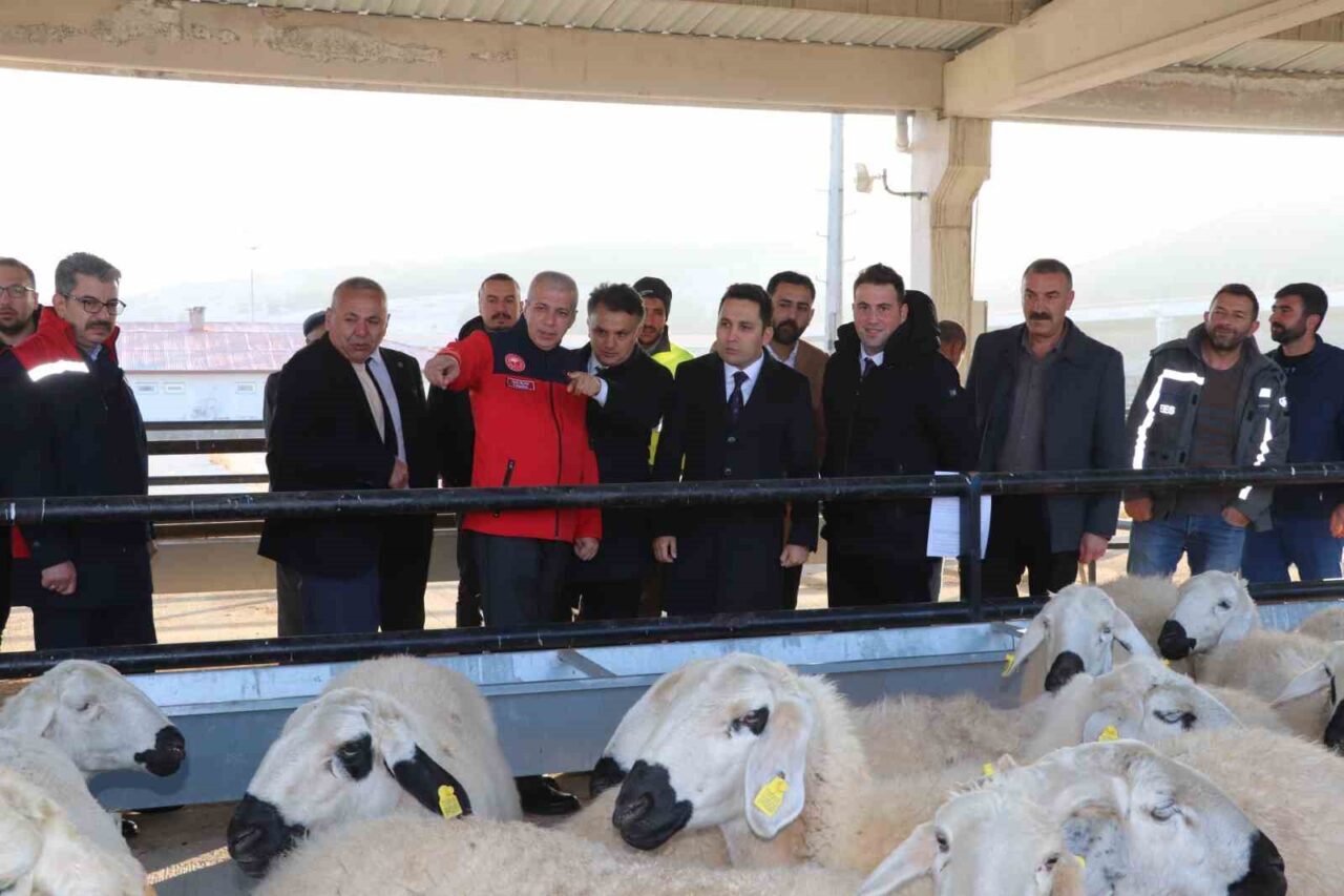 Sivas'ın Yıldızeli ilçesinde, Tarım ve Orman Bakanlığı'nın projeleri kapsamında 250