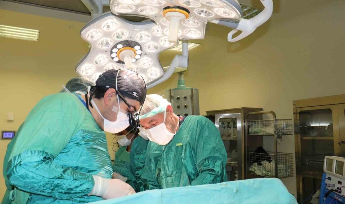 Mardin’li Kadının Karnından 15 Kilo 800 Gramlık Tümör Çıkarıldı, Yürüyerek Taburcu Oldu Mardin'den gelen 45 yaşındaki Gülsüme Önal, karın ağrısı şikayetiyle Şanlıurfa'daki