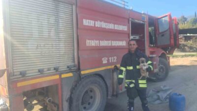 Hatay'ın Kırıkhan ilçesinde bir yavru köpek, 6 metre derinliğindeki bir