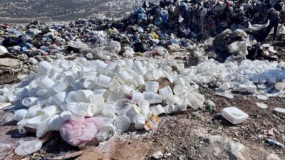 Hatay'da Tarım ve Orman Müdürlüğü ekipleri, İskenderun'da yaptıkları denetimde 2