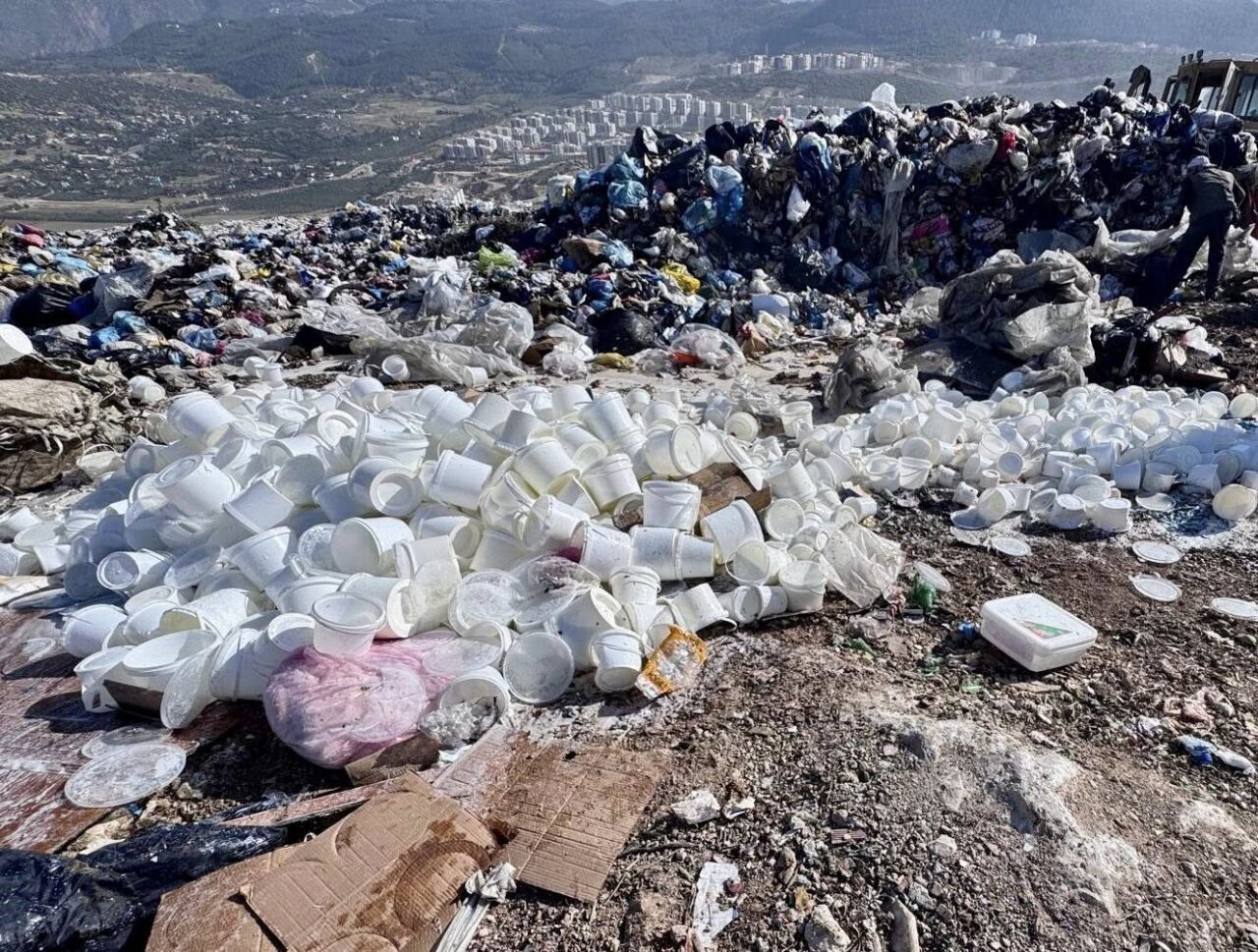 Hatay'da Tarım ve Orman Müdürlüğü ekipleri, İskenderun'da yaptıkları denetimde 2