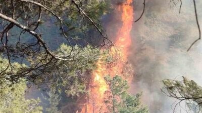 Hatay'ın Belen ilçesindeki Kömürçukuru Mahallesi'nde çıkan orman yangınına itfaiye ve