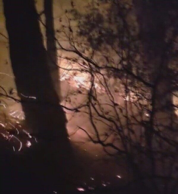 Arsuz’daki Ormanlık Alanda Yıldırımdan Kaynaklanan Yangın 11. Saatinde Mücadele Ediliyor Hatay’ın Arsuz ilçesinde, akşam saatlerinde etkili olan yağış sonrası yıldırım