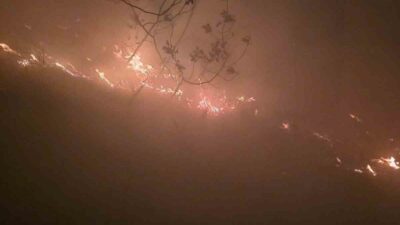 Hatay'ın Arsuz ilçesi Karagöz Mahallesi'ndeki ormanlık alana yıldırım düştü. Yangın